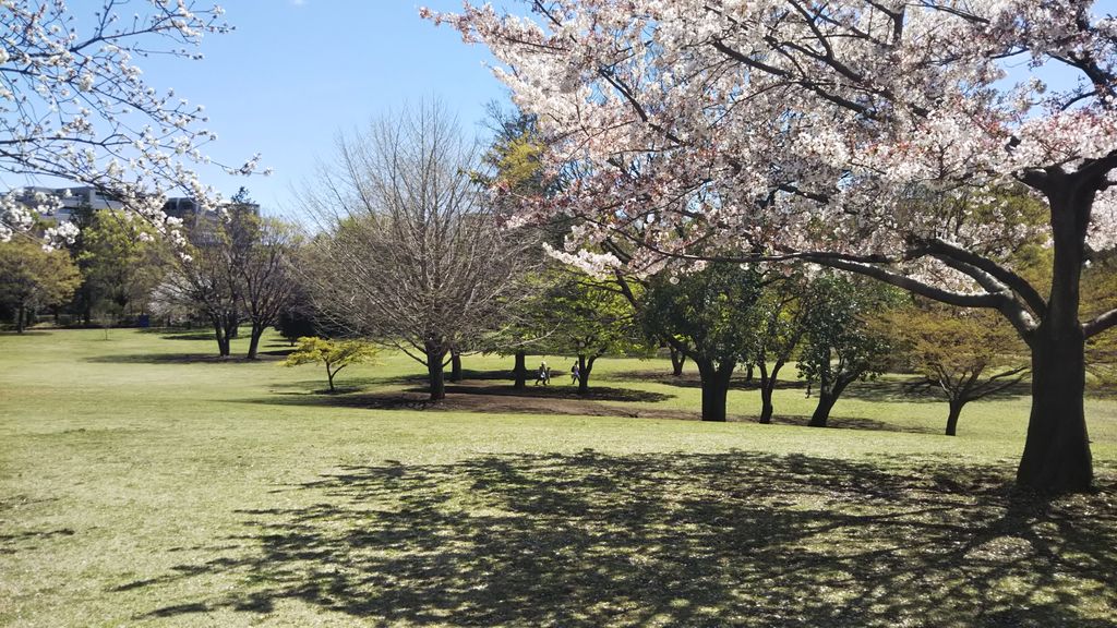 南大沢駅周辺の公園 庭園ランキングtop10 じゃらんnet