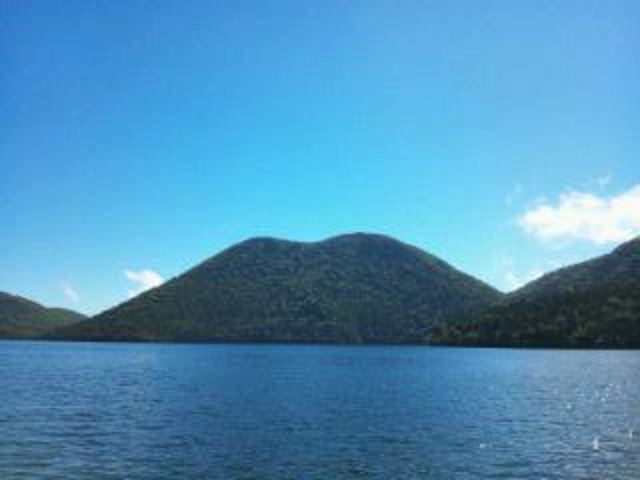 �R�ʌ�_�R�ʌ΃l�C�`���[�Z���^�[