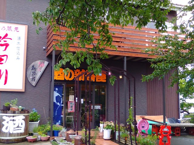 ���̖؂��킳�����_���̐V����