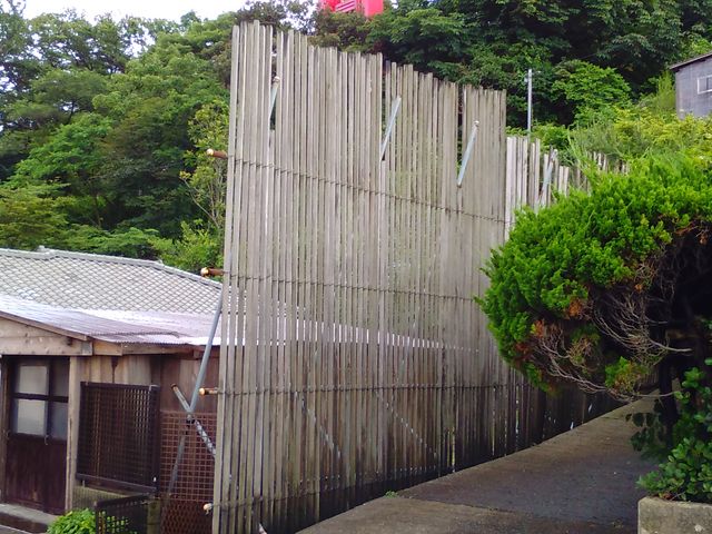 �C��w����X�ւ̘H�n�̓���_���̐V����