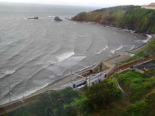 2�K���猩��C��w�Ɠ��{�C_���̐V����