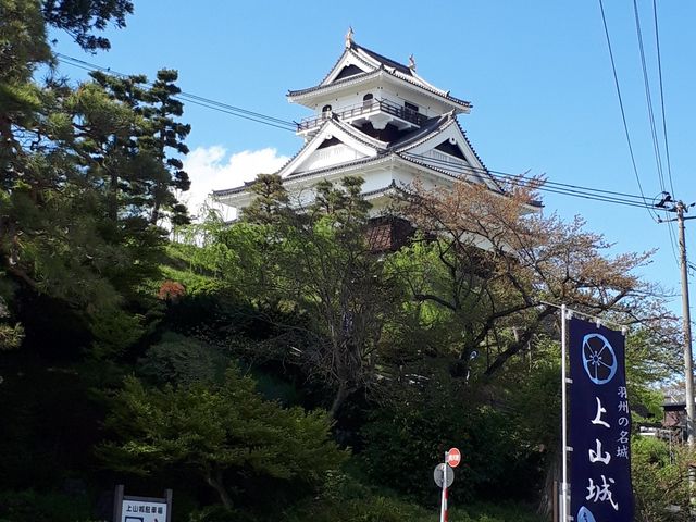 SUZUKI250̏Ȓ̓eʐ^1