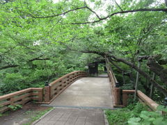 1962̍隬@≮ւ̓eʐ^1