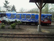 �ɂ��ǂ񂳂�̂ӂ邳�Ƌ�͐��肭�ׂS���̓��e�ʐ^1