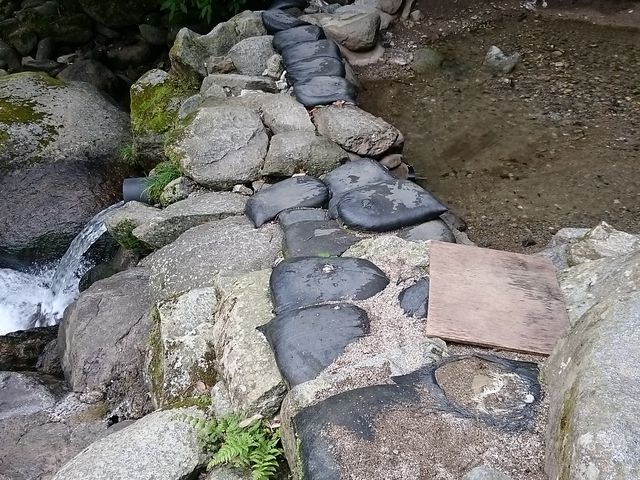 񂿂񂳂̈ɓsT@I[gLv̓eʐ^1