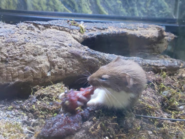 �C�^�`�H�H�H��������ǁA�H���̗l�q�́A�u�b�v�ł�( ;�L��`)_���тЂ듮����