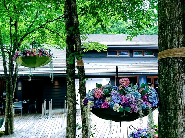 ���z��_�y��򐯖�G���A�@�n���j���e���X