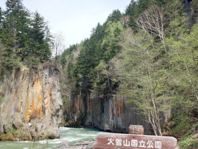 ݕǂłłA̗͂āA܂I_唟