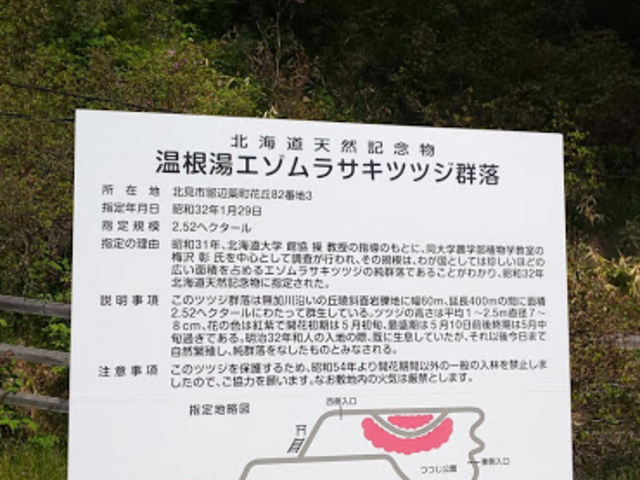 ���J�̎����́A�Ζʂ������ƕ�����悤�ɊJ�������悤�ł��B_������������