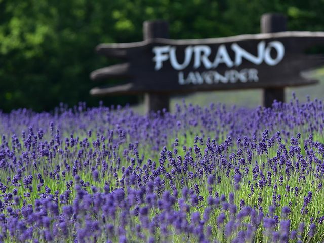 ���炫�̃��x���_�[���y���ނ��Ƃ��ł��܂����O�O_���x���_�[��