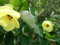 񂿂񂳂̂͂܂ڂւ̓eʐ^1