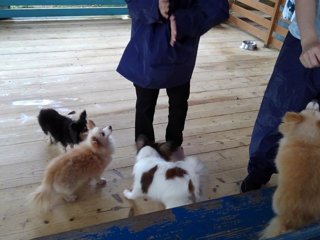 Ŕ@́@QOO~
ǂ̎q@łB!(^^)!_lIp[NILi