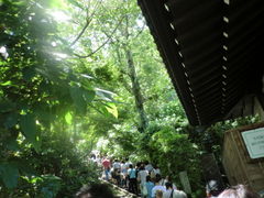 koko����̒��J���̃A�W�T�C�ւ̓��e�ʐ^1