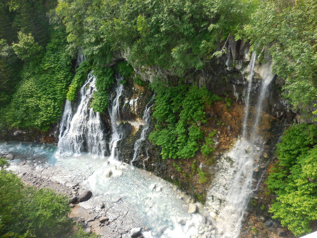 ���͂����_���Ђ��̑�