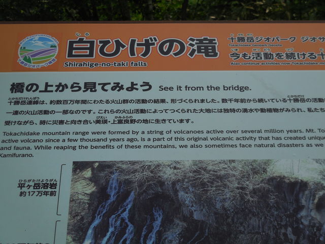 �����ł��A���̏ォ��̒��߂��ō��ł��B_���Ђ��̑�