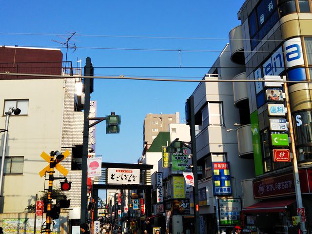 ���X�X�̊Ŕ�_�ˉz���