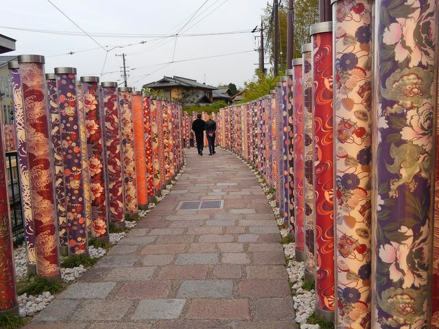 ���F�T�̕��ؓ�_�L���m�t�H���X�g