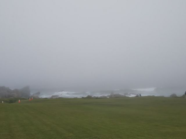 �V�C�̂������͂������߃R�[�X�ł�_�݂��̂������g���C���i�퍷�C�ݗV�����j