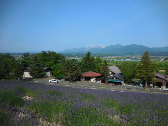 �Ⴊ�c��\���x���o�b�N��_���x���_�[��