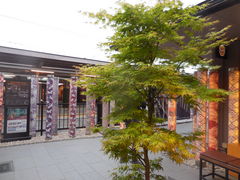 �����̂肳��̃L���m�t�H���X�g�ւ̓��e�ʐ^1