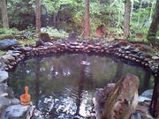 ɂǂ񂳂̂ʂт猹򋽃XL[̓eʐ^1