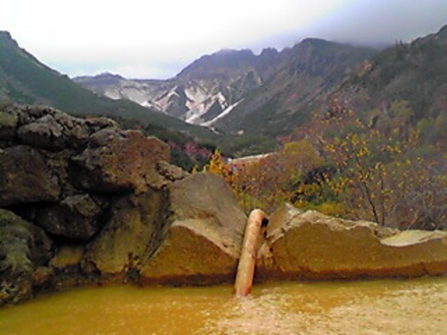 ���_�t�̘I�V���C����_�����Ό�