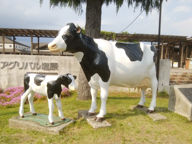 �z���X�^�C����q��_���̉w ���̍������΂�