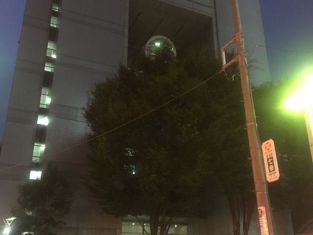 񂳂̎RC q@kƂ҂̓eʐ^1