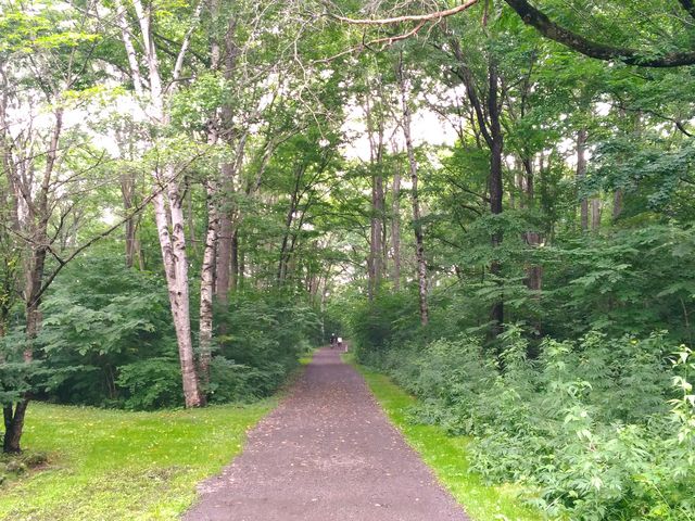 ������_�΃��u�����E�O���[���p�[�N�i400m�x���`�j