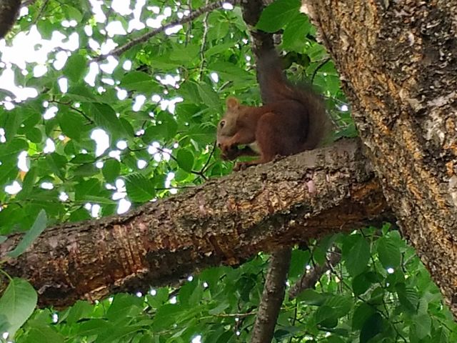 �G�]���X_�΃��u�����E�O���[���p�[�N�i400m�x���`�j