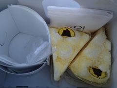 򓯑̏M@mَq܁@^Iւ̓eʐ^1