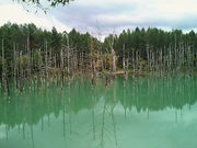 ɂǂ񂳂̓̉w@тrP@̓eʐ^1