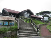 1962̂т̃GR~[WAZ^[̓eʐ^1