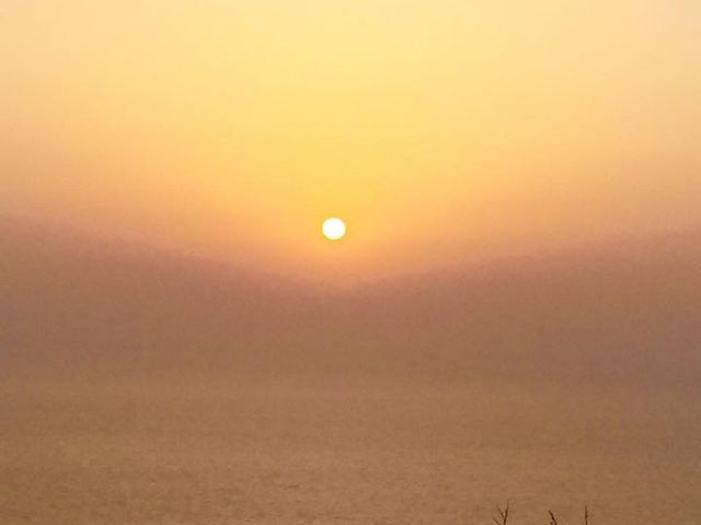 ���E�̋�����̌����R�W�]�����̓��e�ʐ^1