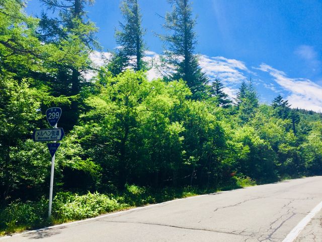 ǂVCŌiFǂꖇB܂I_RXXX