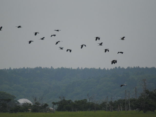 ��Q_�t����