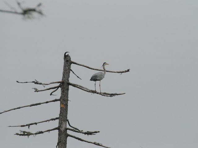 ���_�t����