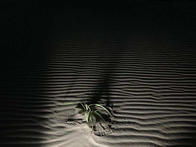 ����ƍ��u�̐A��_�Ƃ��Ƃ�ό��K�C�h�Z���^�[