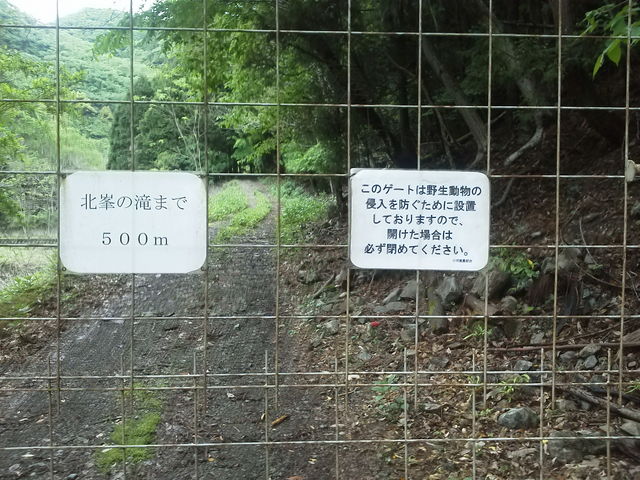 ɓѓɂ͖쐶̐Nh߂̃Q[g܂B_k̑