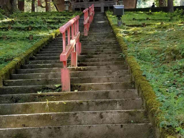 ���������[_���R���Ύ��i���s���j