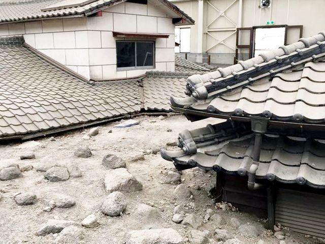 �y�Η���ЉƉ��ۑ������@��Q�����̂܂܂̉Ɖ�_�y�Η���ЉƉ��ۑ�����