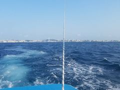 ݁[CoCoMarineւ̓eʐ^1