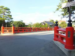 �j�R����񂳂�̒����ւ̓��e�ʐ^1