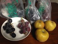 wenFRUIT PARK YOKOHAMA@Ōʎւ̓eʐ^1