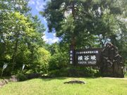 308777isãwX̓eʐ^1