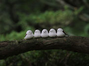 daishin̑ќA_Ђ̓eʐ^1