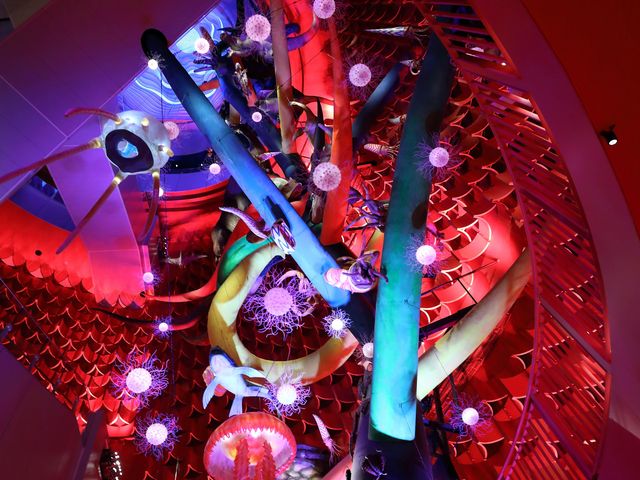 �ʐ^�B�e�͈�K�݂̂������B���͏�K������B���̂��ȁB_���z�̓�