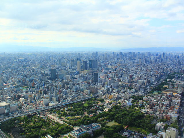 �͌^�����Ă�݂���_�n���J�X300