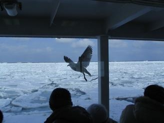 a炦鎖oH_ԑXόӕXD[