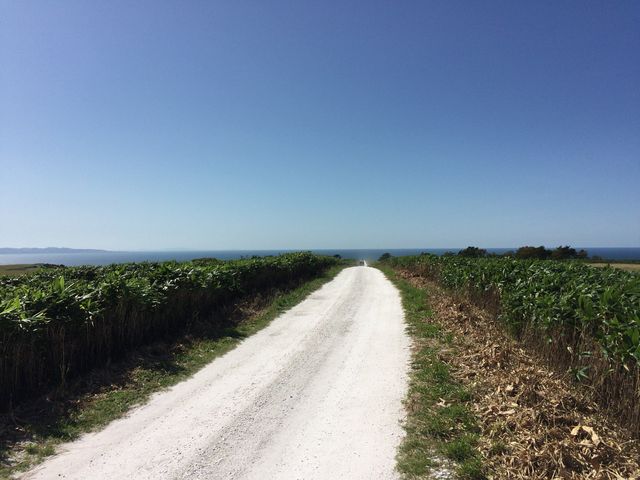 �������Q�l�Q�B�����C�ɋz�����܂�銴�o�ɂȂ�܂��B_�@�J�u��